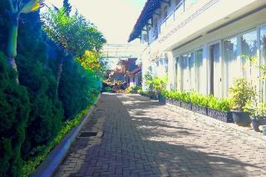 foto-3