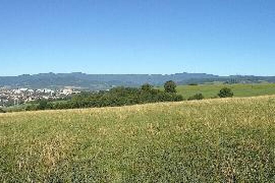 photo-1