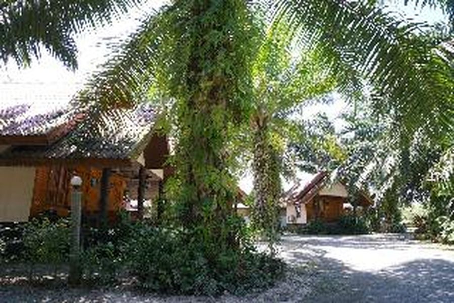 foto-3