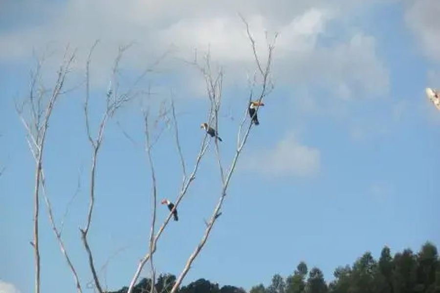 photo-3