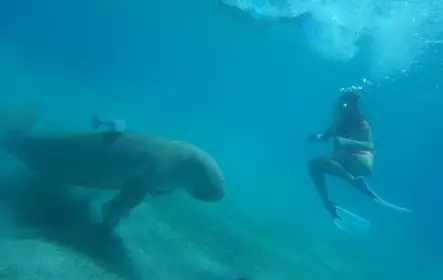 Experiências e cursos de mergulho em Marsa Alam