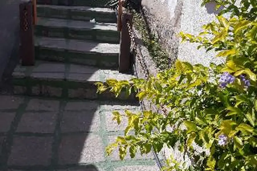 foto-2