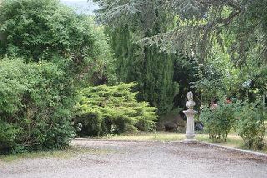 foto-3