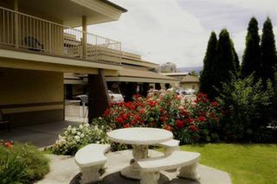 photo-0