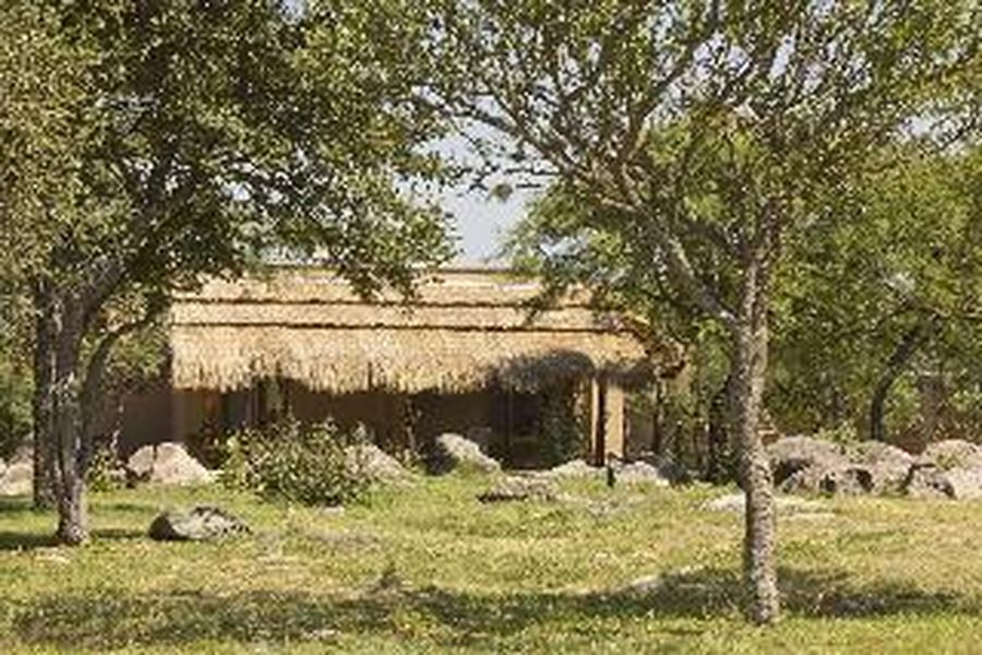 foto-3