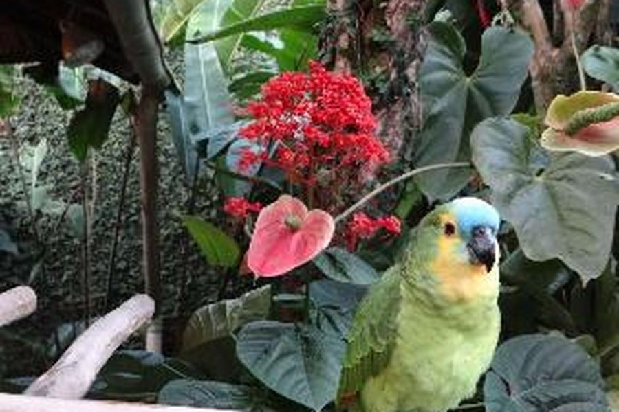 foto-0