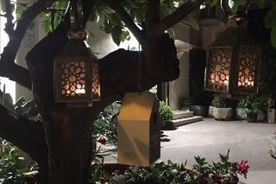 foto-1