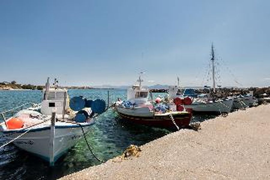 photo-1