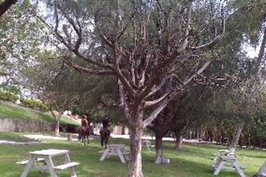 photo-3