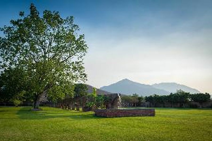 foto-1