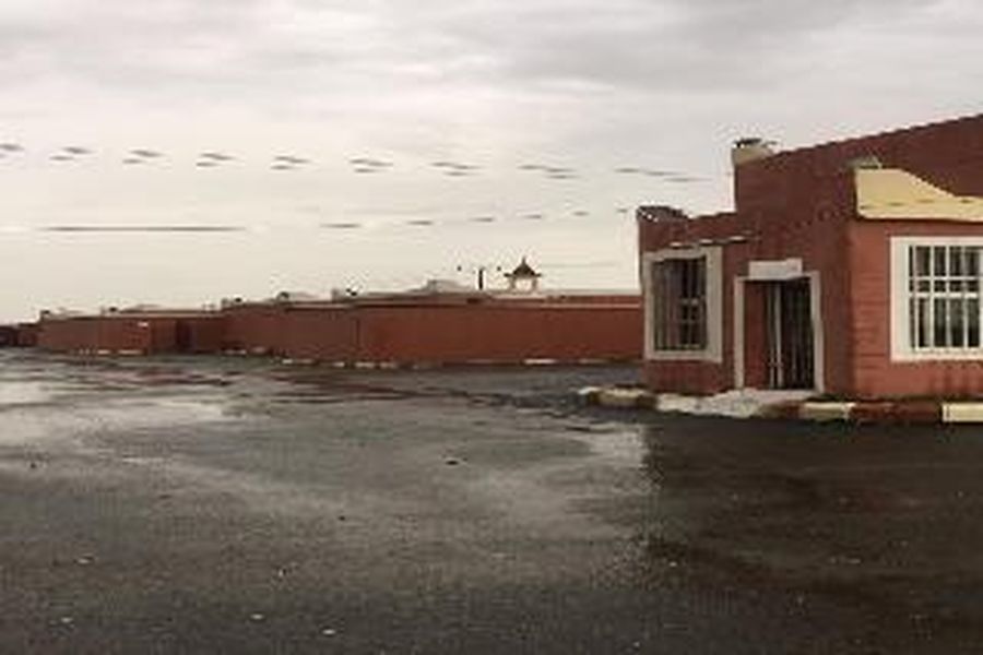 photo-1