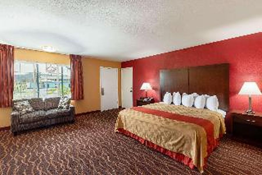 photo-1