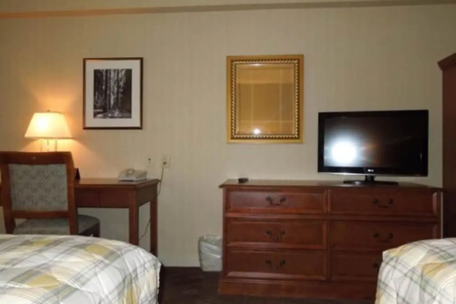 foto-1