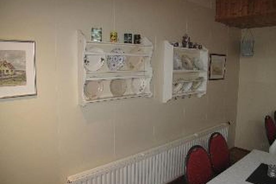 photo-1
