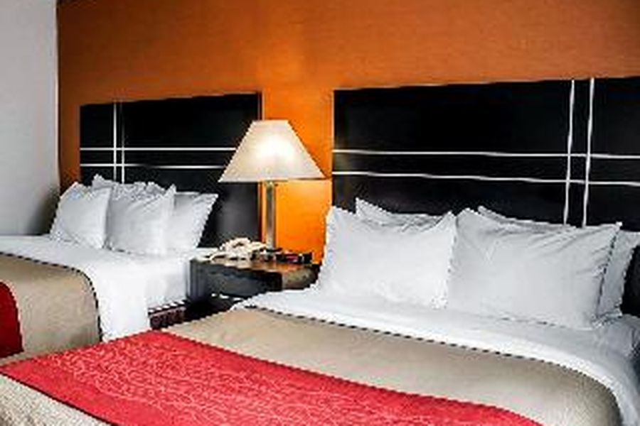 photo-1