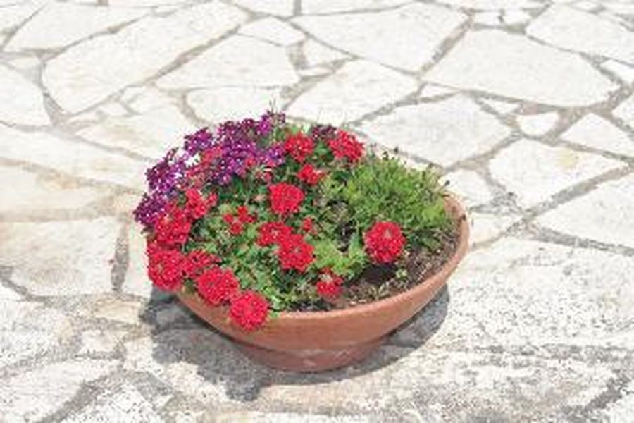 foto-2