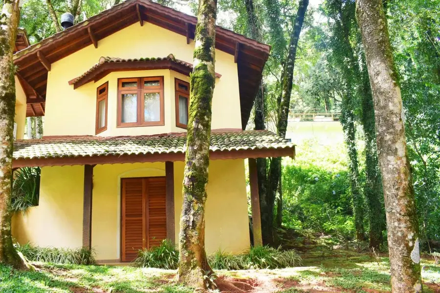 foto-0