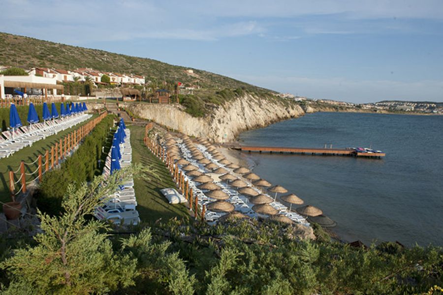 photo-1