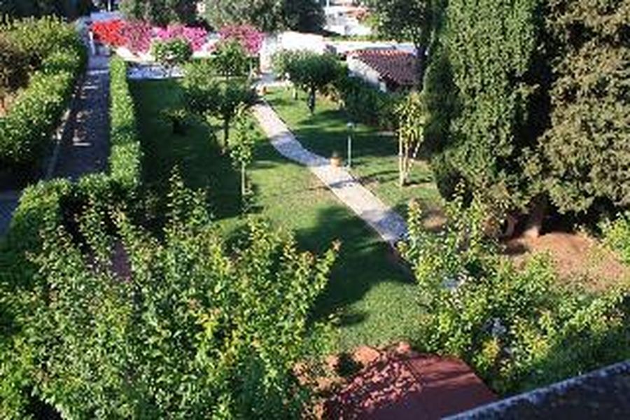 foto-1