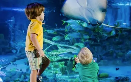 SEA LIFE no Mall of America: ingresso