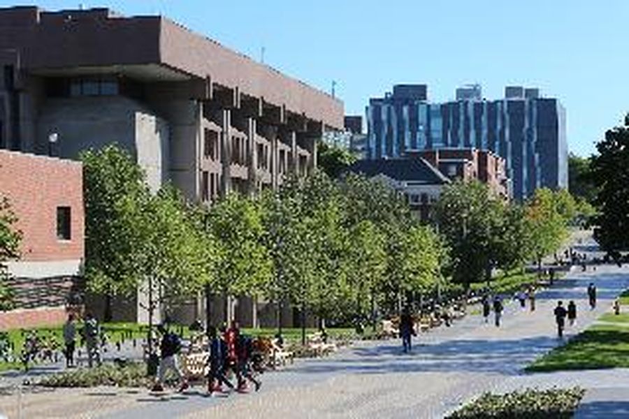 foto-2