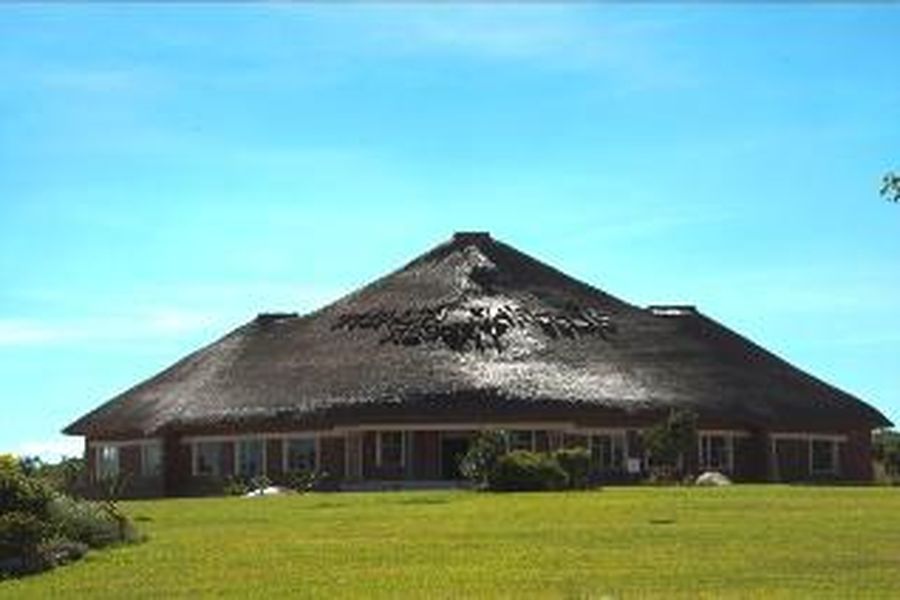 photo-1